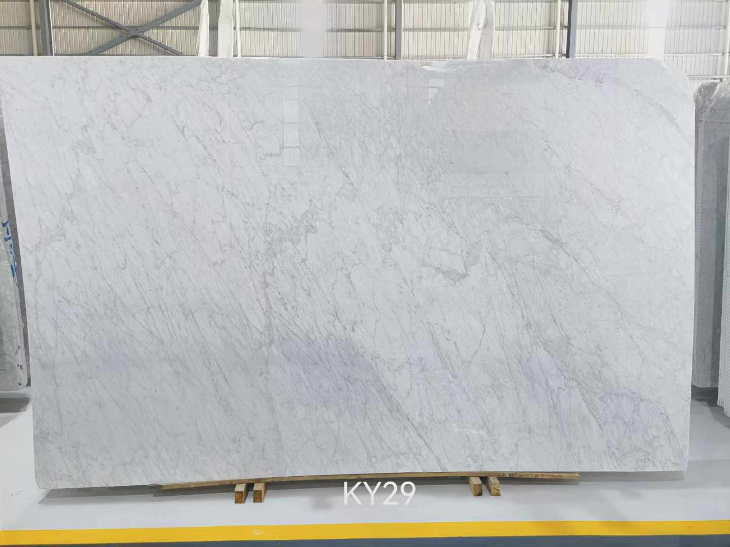 卡拉拉白(bái) (8).jpg