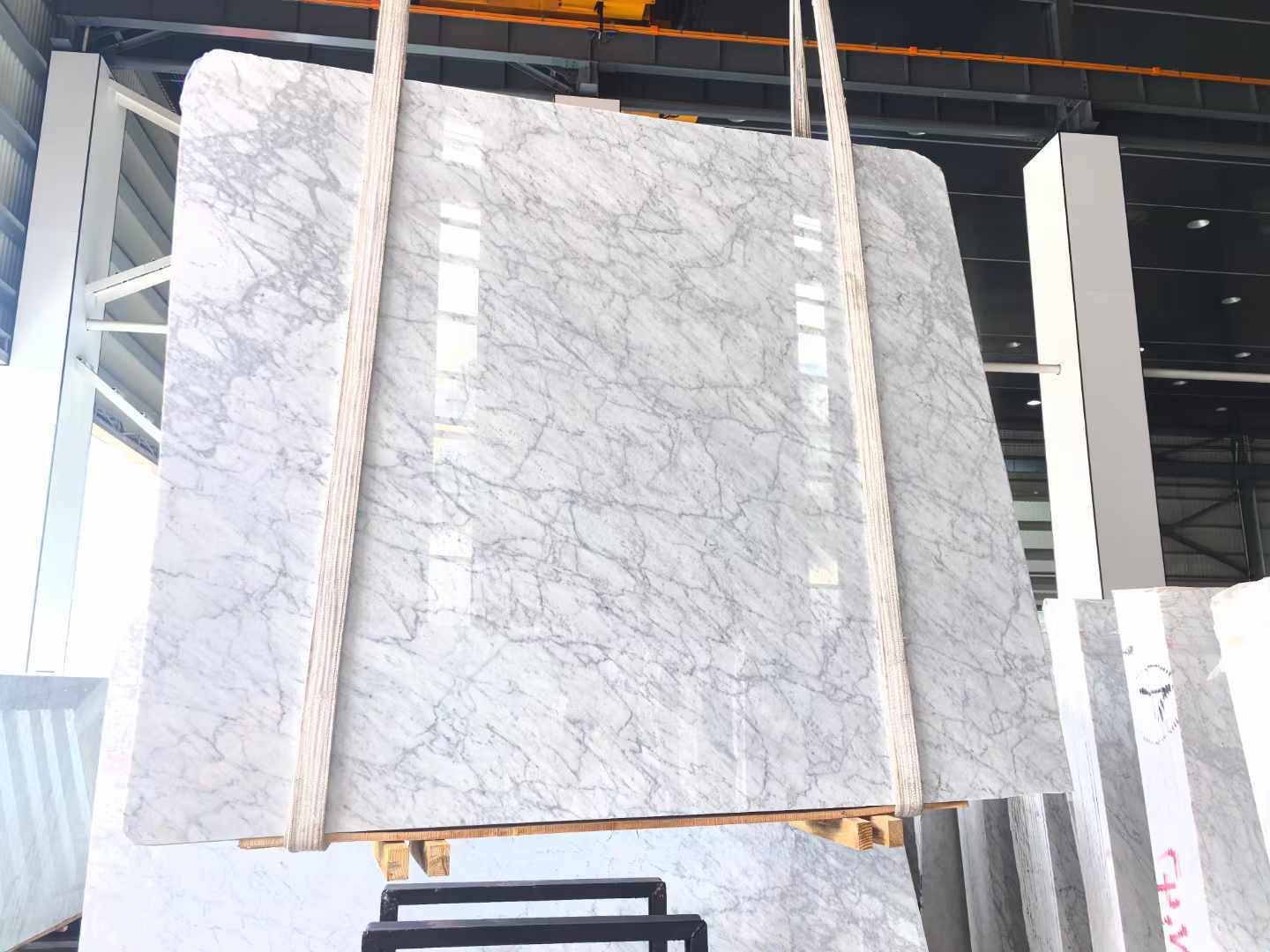 卡拉拉白(bái) (5).jpg