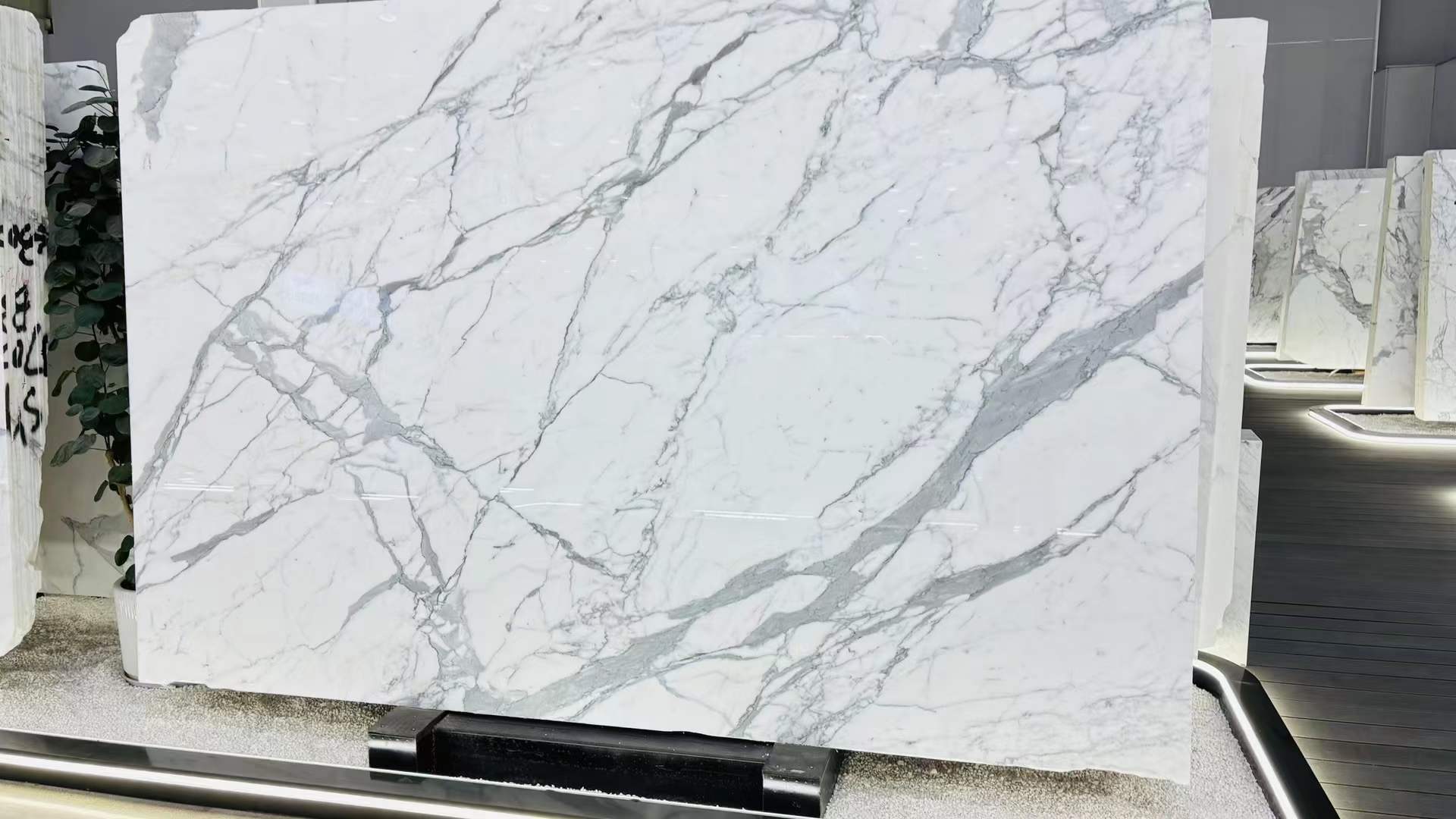 魚肚白(bái) (19).jpg