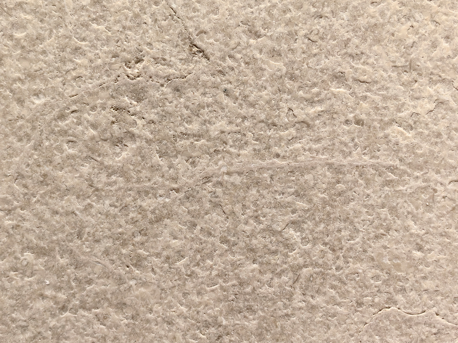 維琴米黃(huáng)火(huǒ)燒面